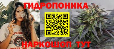 твердый Новокубанск