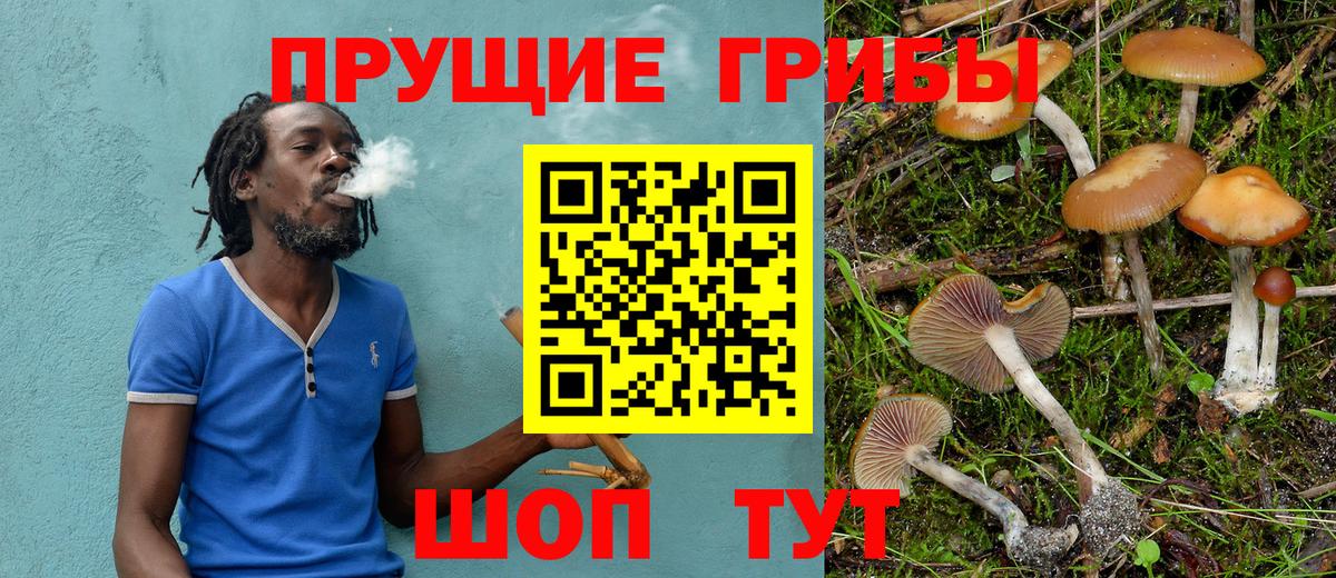 Пугачёв  Галлюциногенные грибы ЛСД  Вход с VPN 